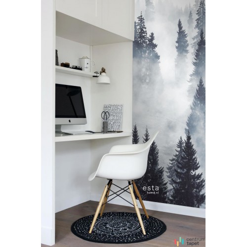 Fototapeta 158909 Scandi...