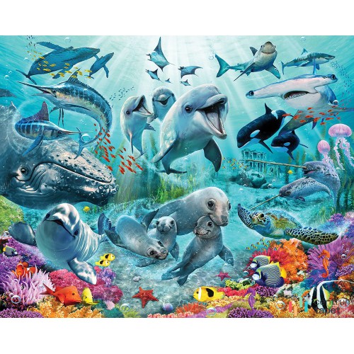 Fototapeta Under the Sea 46498