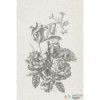 Fototapeta 158887 Blush Esta Home