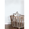 Tapeta 347477 Hide&Seek Origin