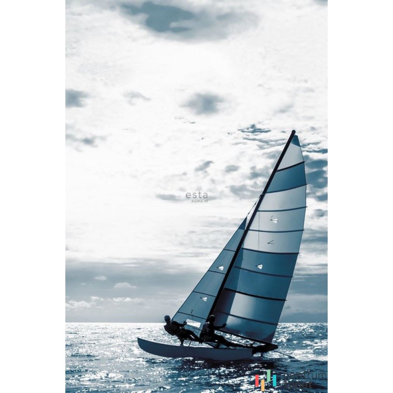 Fototapeta 158846 Regatta Crew Esta Home Fototapeta 158846 Regatta Crew Esta Home