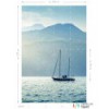 Fototapeta 158850 Regatta Crew Esta Home