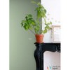 Tapeta 148745 PARADISE Esta Home