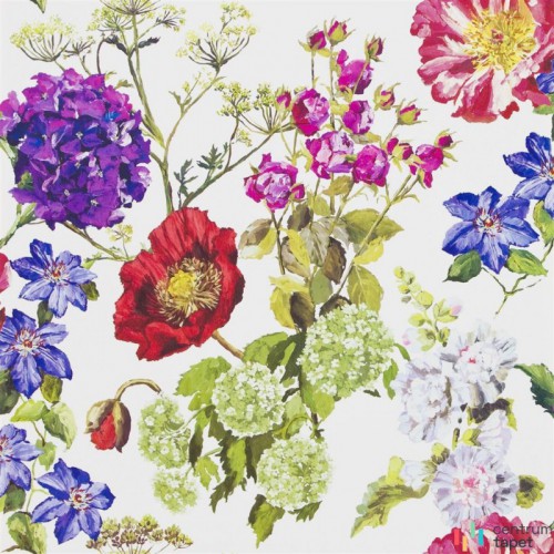 Tapeta P623/02 Flowers volume I Designers Guild