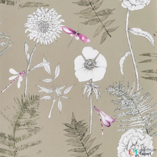 Tapeta PDG1022/03 Flowers volume I Designers Guild