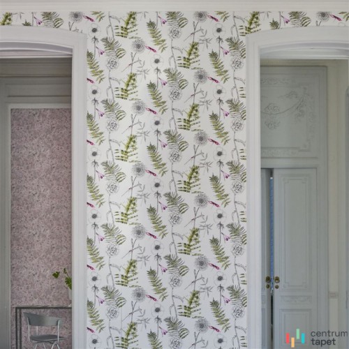 Tapeta PDG1022/04 Flowers volume I Designers Guild