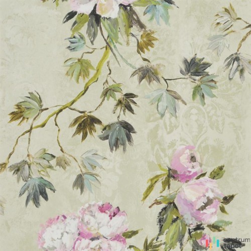 Tapeta PDG673/01 Flowers volume I Designers Guild