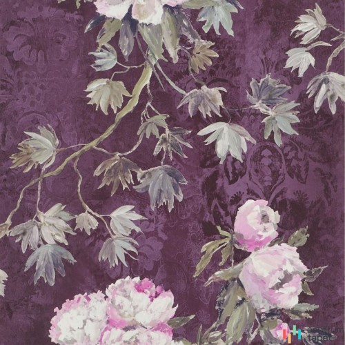 Tapeta PDG673/04 Flowers volume I Designers Guild