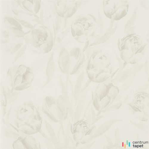 Tapeta PDG685/05 Flowers volume I Designers Guild