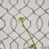 Tapeta PDG1027/01 Geometrics volume I Designers Guild