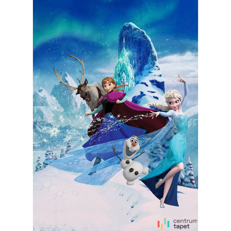 Fototapeta DX4-014 Frozen Elsas Magic