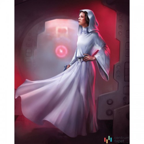 Fototapeta DX4-046 Star Wars Classic Leia