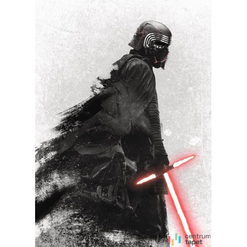 Fototapeta DX4-074 Star Wars Kylo Vader Shadow