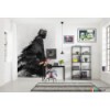 Fototapeta DX4-074 Star Wars Kylo Vader Shadow