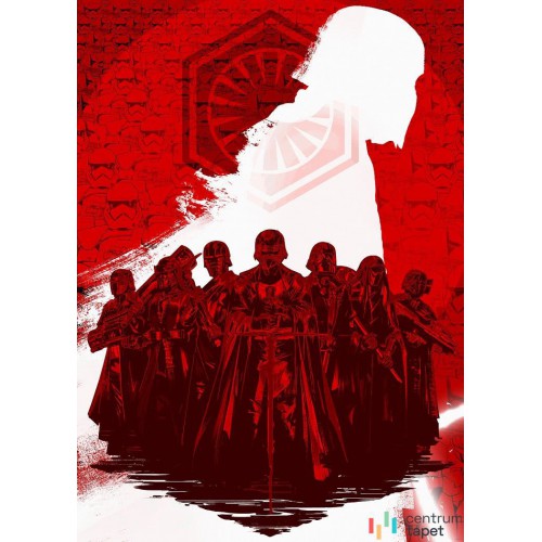 Fototapeta DX4-076 Star Wars Supreme Leader