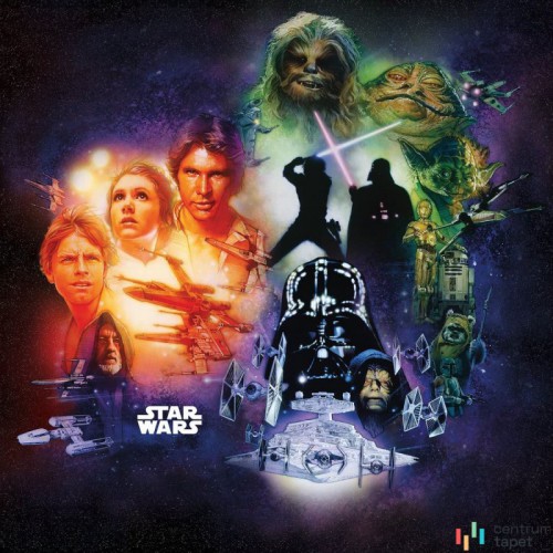 Fototapeta DX5-044 Star Wars Classic Poster Collage