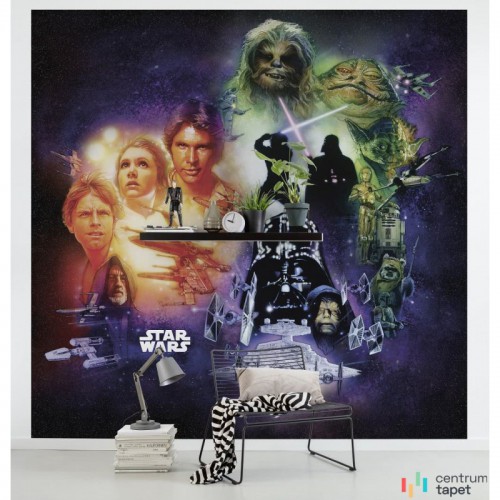 Fototapeta DX5-044 Star Wars Classic Poster Collage
