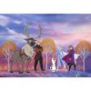 Fototapeta DX8-013 Frozen Autumn Forest