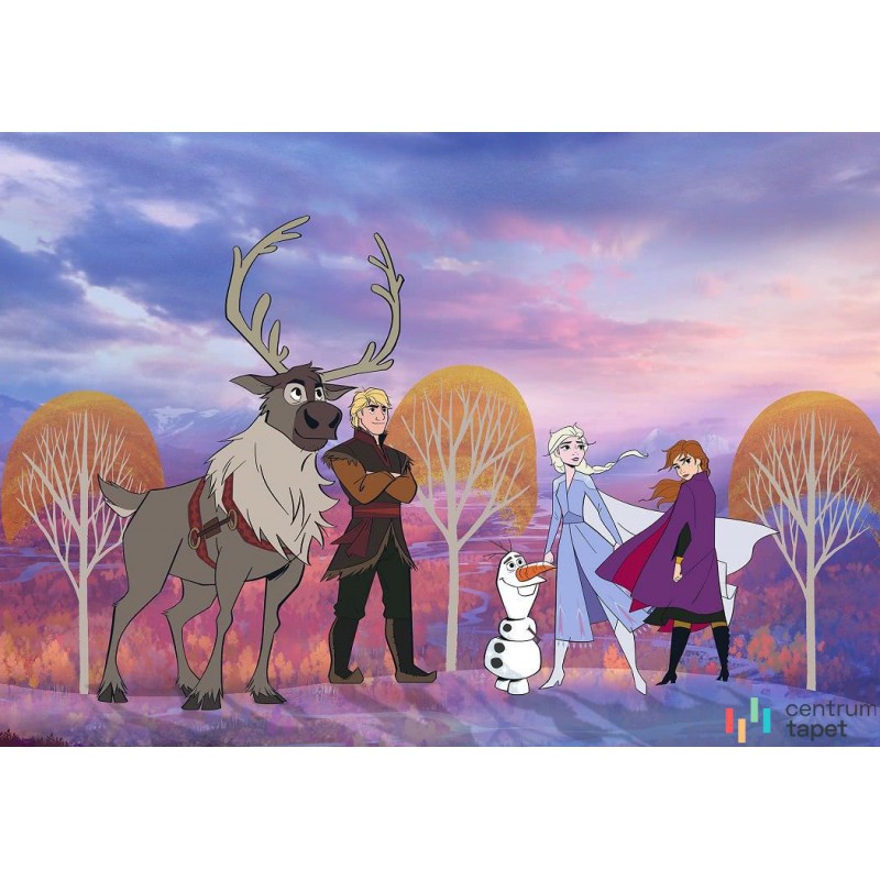 Fototapeta DX8-013 Frozen Autumn Forest