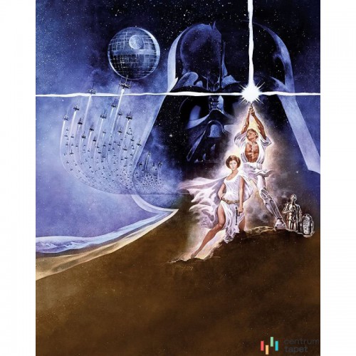 Fototapeta 008-DVD2 Star Wars Poster Classic 2