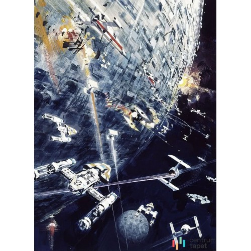 Fototapeta 012-DVD2 Star Wars Classic Dogfight