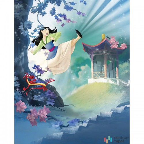 Fototapeta 020-DVD2 Mulan