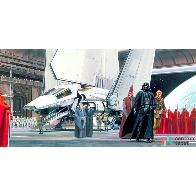 Fototapeta DX10-048 Star Wars Classic RMQ Death Star Shuttle Dock