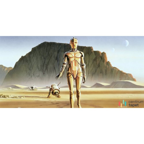 Fototapeta DX10-051 Star Wars Classic RMQ Droids