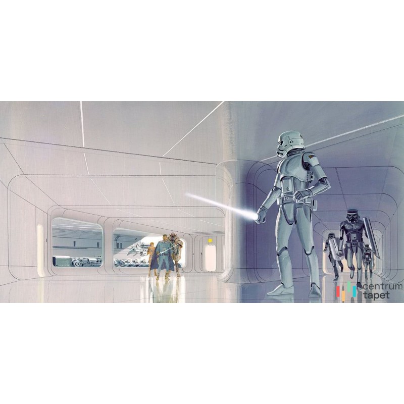 Fototapeta DX10-064 Star Wars Classic RMQ Stormtrooper Hallway