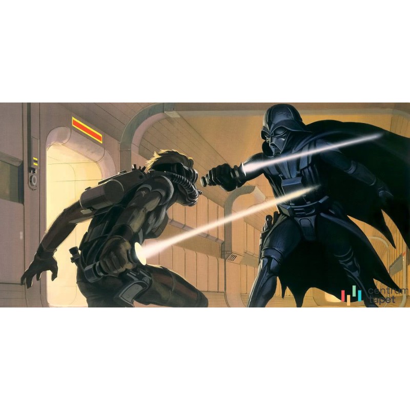 Fototapeta DX10-066 Star Wars Classic RMQ Vader vs Luke