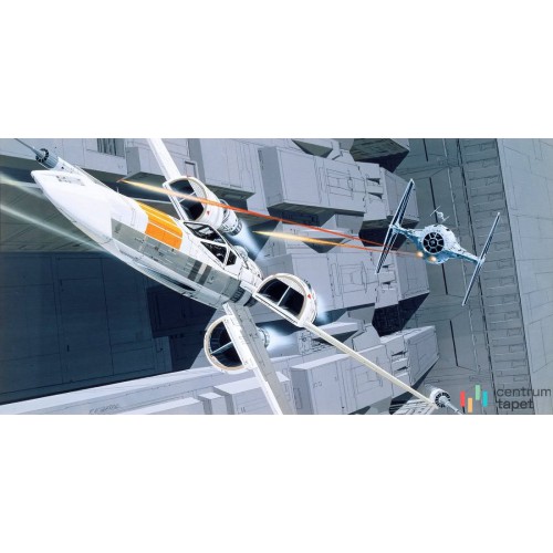 Fototapeta DX10-067 Star Wars Classic RMQ X-Wing vs TIE-Fighter