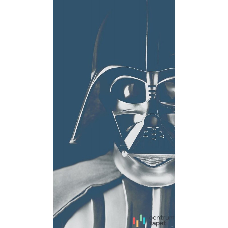 Fototapeta DX3-045 Star Wars Classic Icons Vader