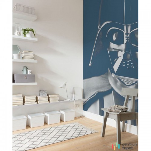 Fototapeta DX3-045 Star Wars Classic Icons Vader