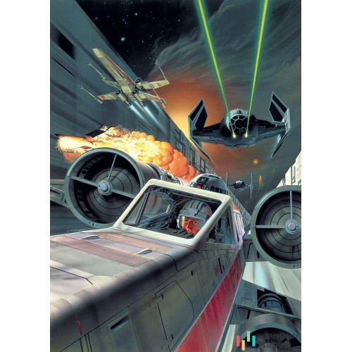 Fototapeta DX4-042 Star Wars Classic Death Star Trench Run