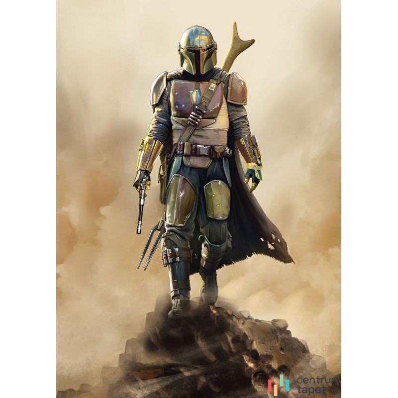 Fototapeta DX4-086 Star Wars The Mandalorian The Hunter