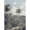 Fototapeta R2-006 The Exotic Land