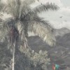 Fototapeta R2-006 The Exotic Land