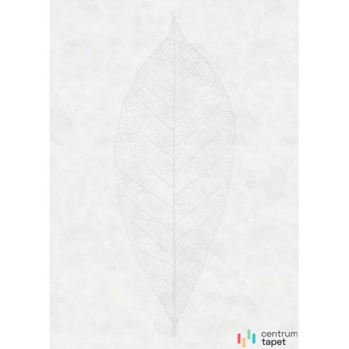 Fototapeta R2-012 Decent Leaf