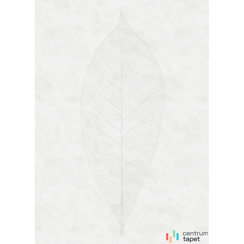 Fototapeta R2-012 Decent Leaf