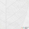 Fototapeta R2-012 Decent Leaf