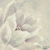 Fototapeta R2-016 Water Lily