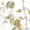 Fototapeta R3-025 Hedera