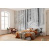 Fototapeta R4-043 Winter Wood