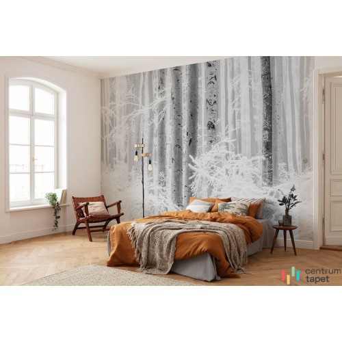 Fototapeta R4-043 Winter Wood