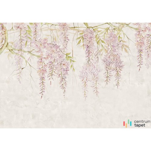 Fototapeta R4-050 Wisteria