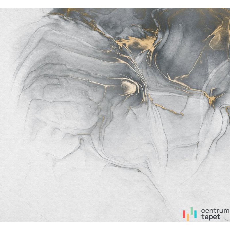 Fototapeta RSX6-037 Ink Gold Fluid