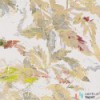 Fototapeta RSX6-038 Golden Feathers