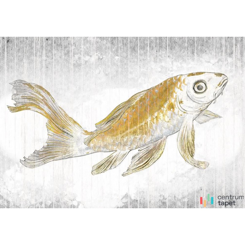 Fototapeta RSX8-049 Golden Koi 