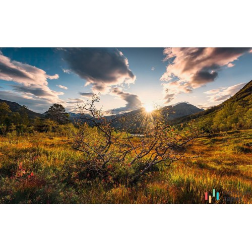 Fototapeta SHX9-060 Norwegische Herbstwelten