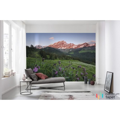 Fototapeta SHX9-069 Picturesque Switzerland